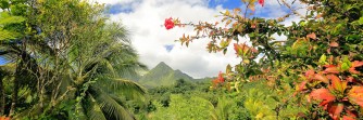 Flitterwochen auf Martinique