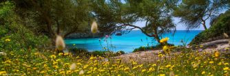 Flitterwochen auf Menorca