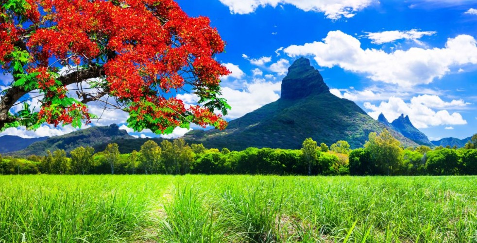 Beste Reisezeit Mauritius