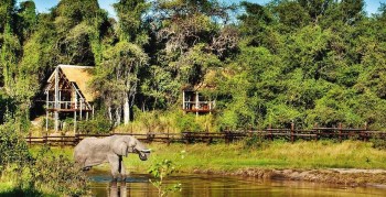 Flitterwochen in Botswana