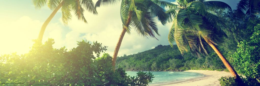 Hochzeitsreisen auf die Seychellen